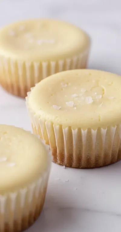 Cheesecake Cupcakes – Easy Dessert Recipe