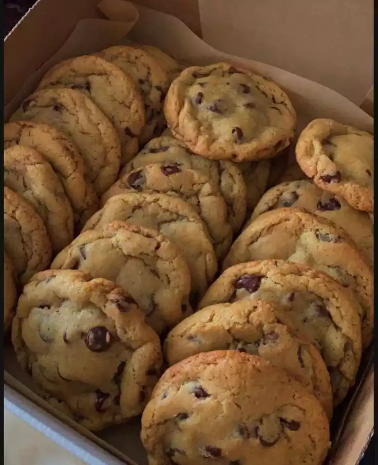 Chocolate Chip Cookie